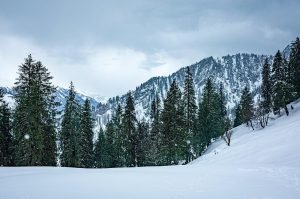 snow, snowfall, winter, himalayas, trek, trekking, adventure, white, christmas, himachal, himachal pradesh, solang, manali, nature, india, cool, chill, cold