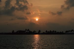 Beautiful sunset over the Kuttanad backwaters with palm tree silhouettes and a calming atmosphere.