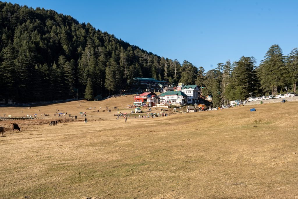 Picturesque landscape of Khajjiar meadow with people and pine forest in Himachal Pradesh, India.